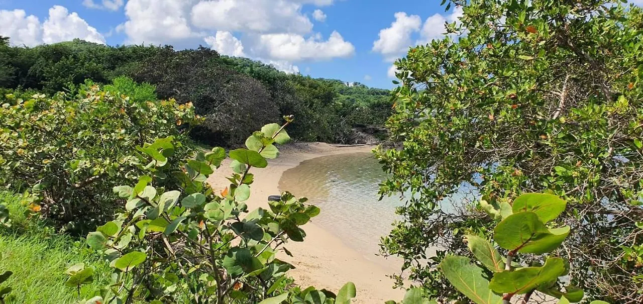 Paradise Oasis At Oceanpointe - Pool And Free Parking Lucea Holiday home